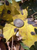 DSCN9762.JPG