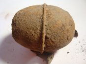 DSC07830.JPG