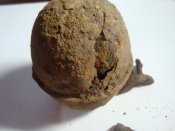 DSC07821.JPG