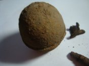 DSC07826.JPG