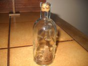 DSCN7520.JPG
