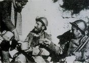 Mus 001.jpg