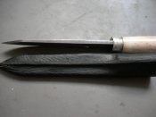 DSCN3549.JPG