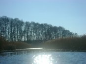 DSC03938.JPG