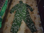 DSC03011.JPG