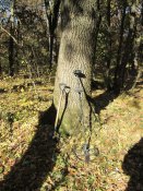IMG_1755.JPG