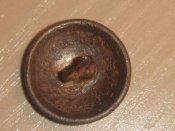 Лес 083-1.JPG