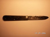 PICT0022a.jpg
