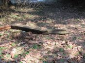 IMG_2955.jpg