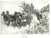 picture 6.jpg