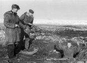 waffen_ss5331.78xsvnm2b8sogwk4g8kc884so.ejcuplo1l0oo0sk8c40s8osc4.th[1].jpg