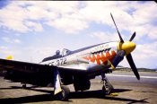 Mustang 2.jpg