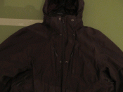 IMG_1629.gif