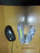 IMG_4534.JPG