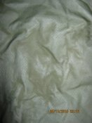 IMG_1264.JPG