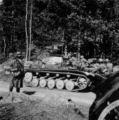 PzII_163InfDiv.jpg