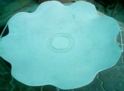 IMG0806A.jpg