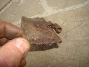 DSC09830.JPG