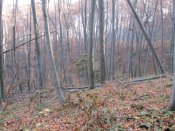 IMG_2298.JPG