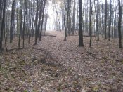 IMG_0044.JPG