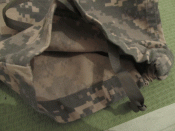 IMG_1656.gif