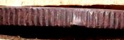 DSCF0489.jpg