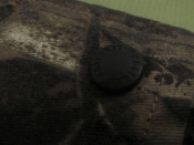 IMG_1640.gif