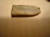 DSC05610.JPG