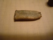 DSC05614.JPG