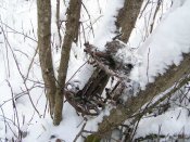 00_0044.jpg