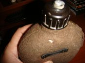 DSC01656.jpg