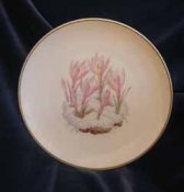 allachflowerplate1.jpg