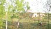 IMG_0103.jpg