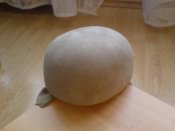DSC01822.jpg