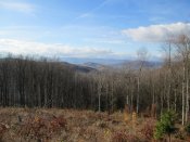 IMG_2325.JPG