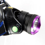 s-l1600 (6).jpg