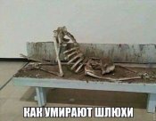 1I-FRfYnhJU.jpg