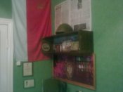 03102010336.jpg