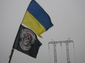 IMGP0289.JPG