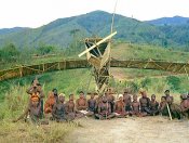 cargo4.jpg