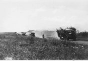 6_Autocolonna mimetizzata da fronde in marcia verso il Donez in Ucraina nell'estate 1942.jpg