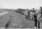 8_Autocolonna di rifornimenti in marcia verso le prime linee sul nuovo fronte del Don in Russia.jpg