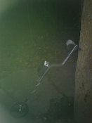 DSC_0241.jpg