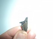 DSC01002.JPG