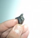 DSC01003.JPG