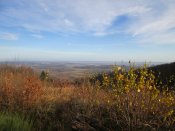IMG_2393.JPG
