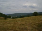 DSC06909.JPG
