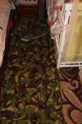 IMG_3263.JPG
