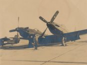 P-82 Twin Mustang 3.jpg