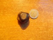 DSCN0067.JPG